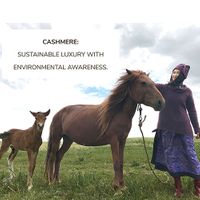 Company name - Semon Cashmere