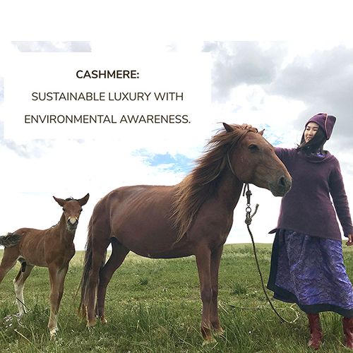 Semon Cashmere