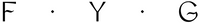 Company name - F.Y.G