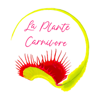 Company name - La Plante Carnivore