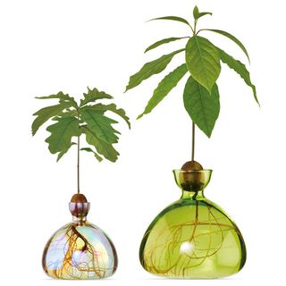 Exhibitor profile image for Ilex Studio