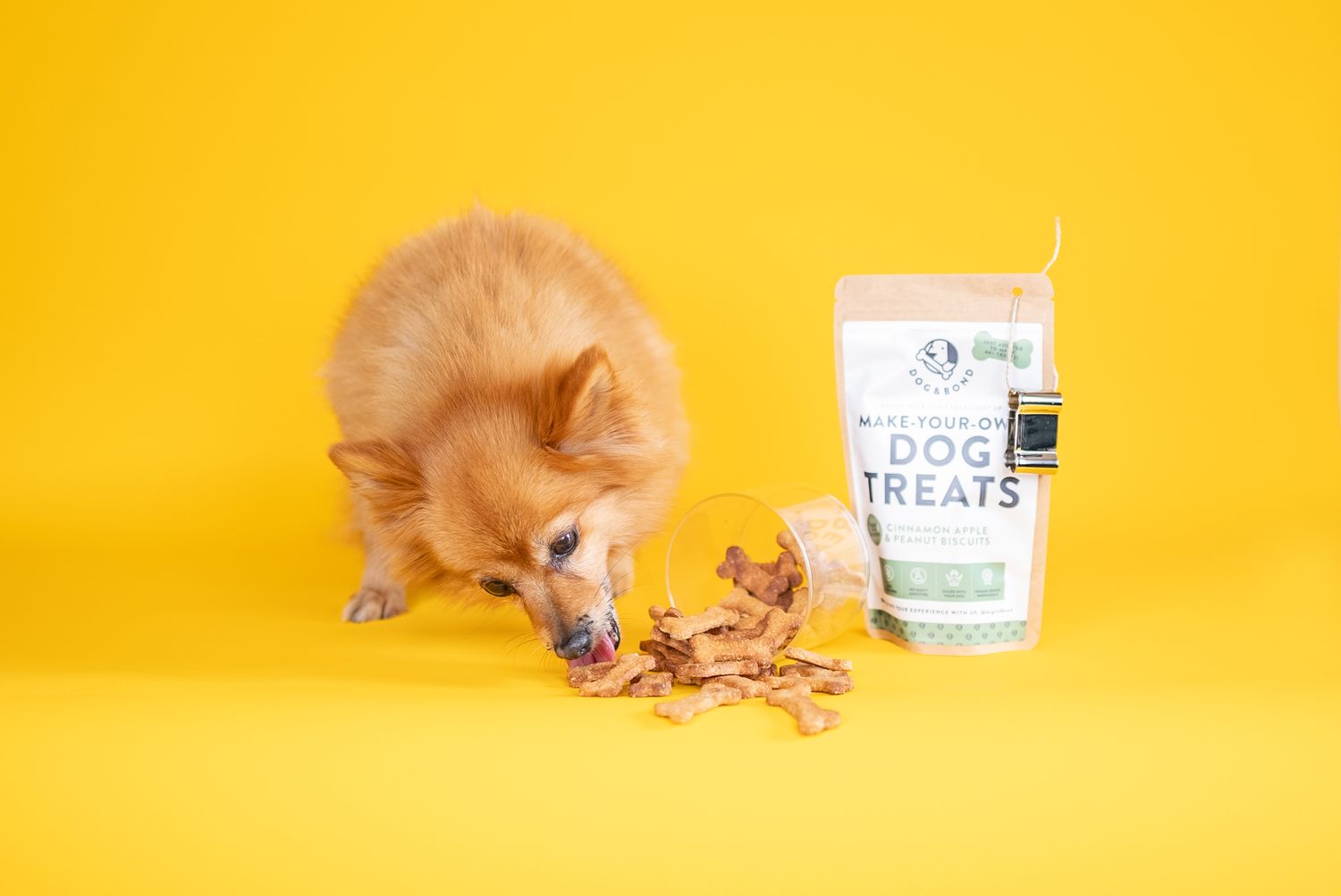 Dog & Bond Ltd