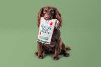 Company name - Dog & Bond