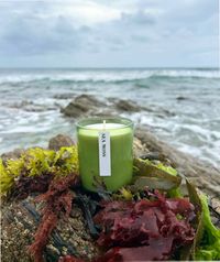 Company name - Heaven Scent Incense