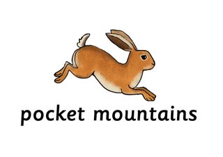 Exhibitor profile image for Pocket Mountains