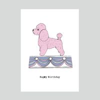 Company name - Rosie Wonders Limited