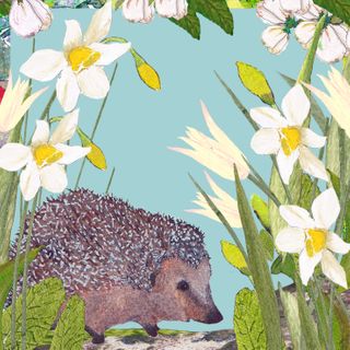 Exhibitor profile image for Tatty Co Ltd