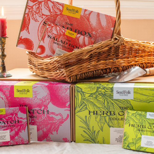 Cover image - Seed Folk