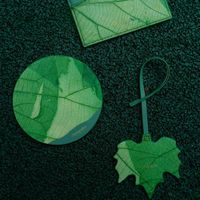 Company name - Penapalne