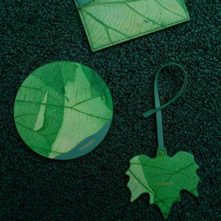 Exhibitor profile image for Penapalne