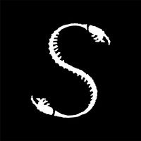 Company name - Sketchy Bones Collective