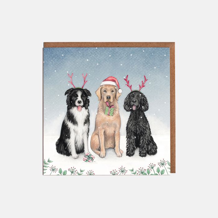 'Merry & Bright' Christmas Cards