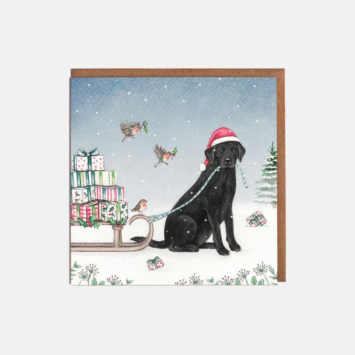 'Merry & Bright' Christmas Cards
