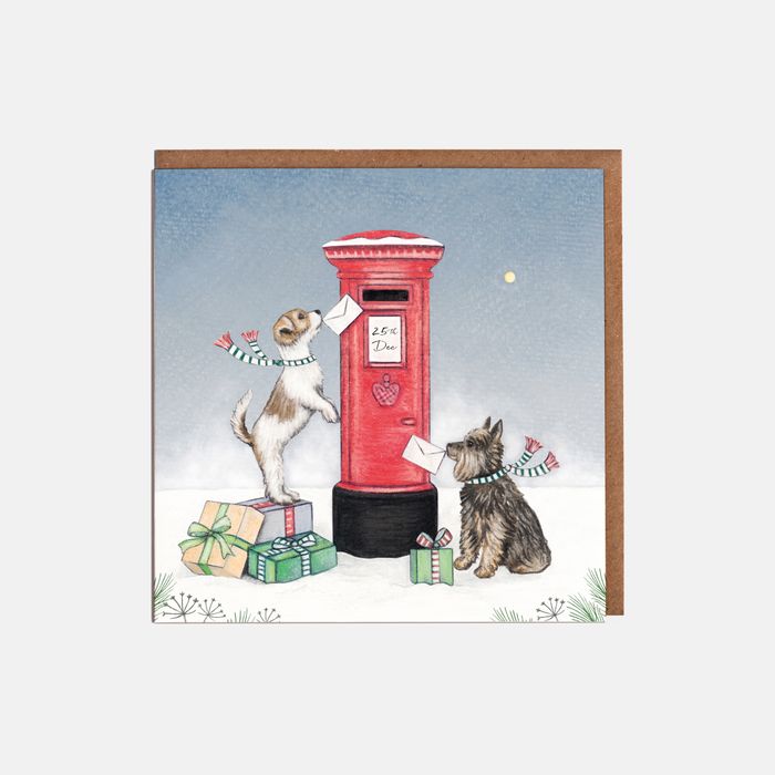 'Merry & Bright' Christmas Cards