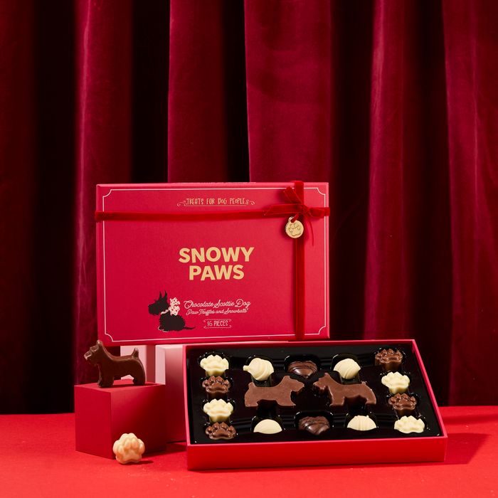 Snowy Paws