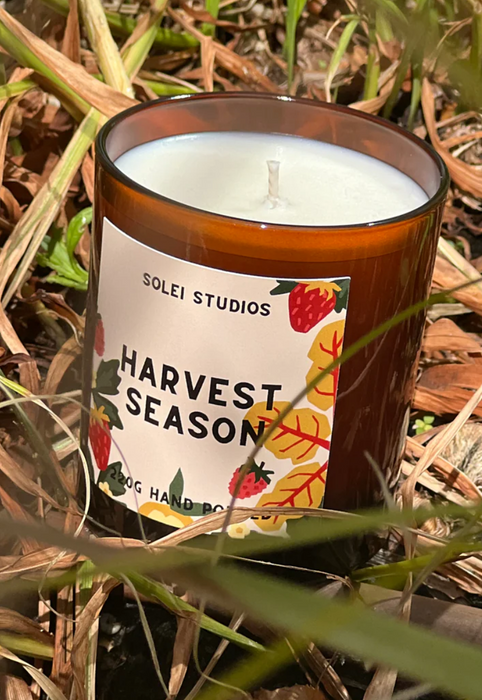 Harvest Season