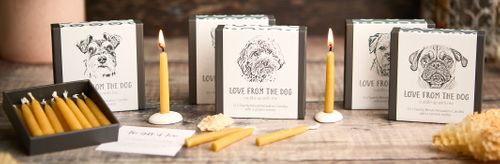 Love from the Dog Collection