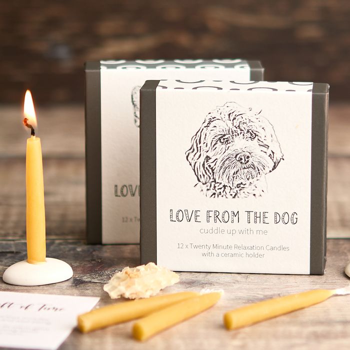 Love from the Dog Collection
