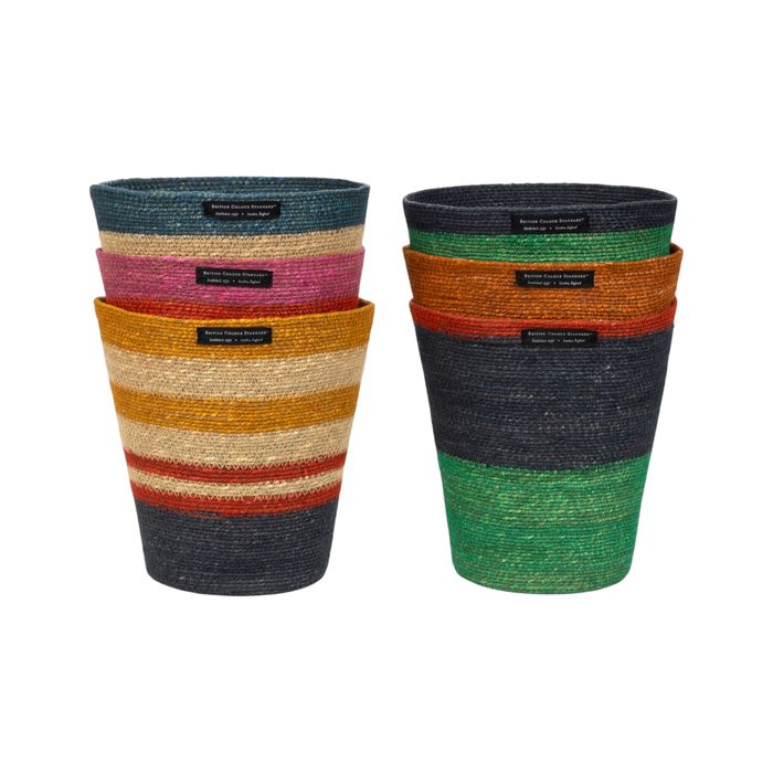 Seagrass Collections