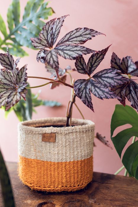 Colourful Handmade Colour Block Woven Basket | Planter | Toy Basket | Desk Tidy