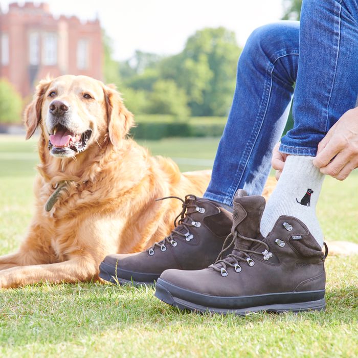 Dog Walker Socks