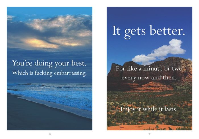 Sorry in advance for making things weird. : A Disappointing Affirmations Collection
