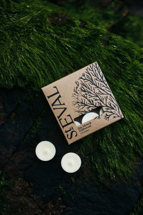 NEW | Fragrances