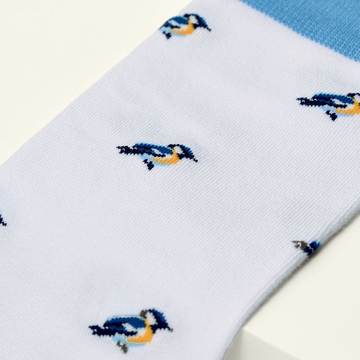The Blue Tit