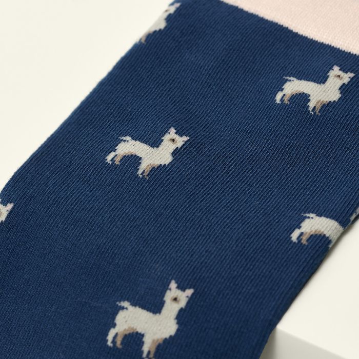 The Llama