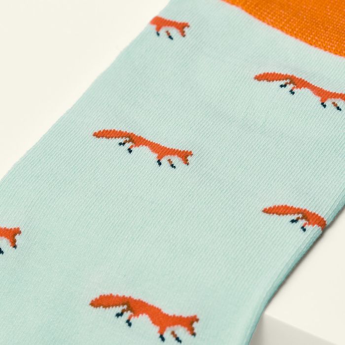 The Mr Fox