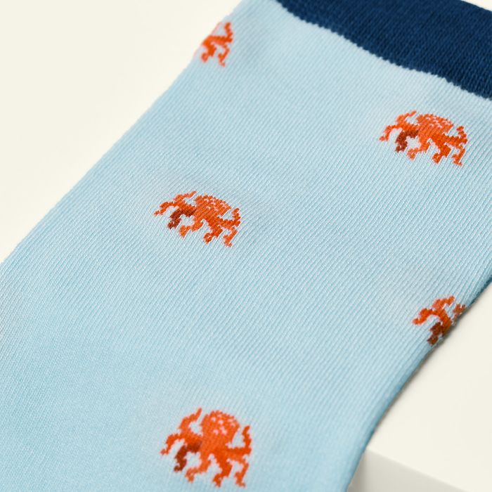The Octopus
