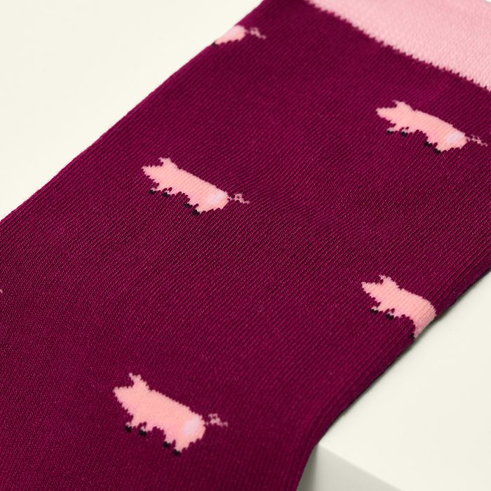 The Pig