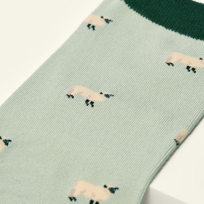 The Sheep