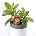 Forest Cottage