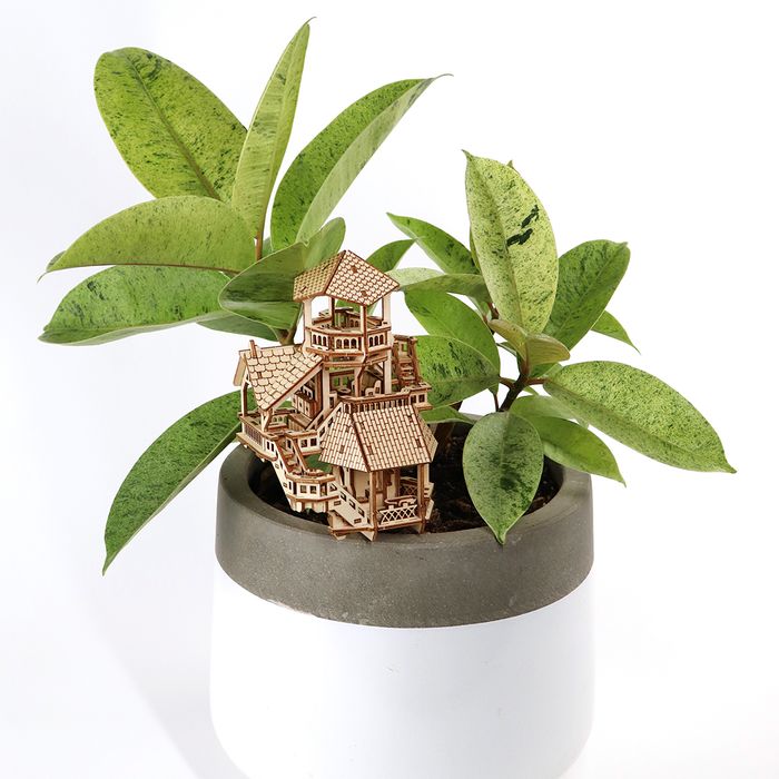 Forest Cottage