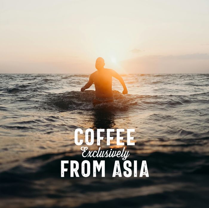 Coffee Exclusively From Asia: India - Biligiriranga Hills, Anaerobic Honey