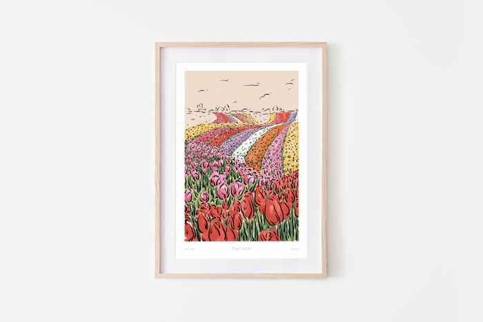 Tulip Fields