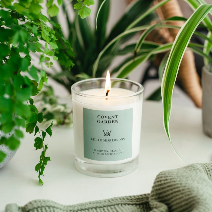 Little Miss London COVENT GARDEN Candle Bergamot & Spicy Orange 210g