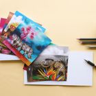 Greeting Cards