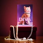 Divas by Ornament Art