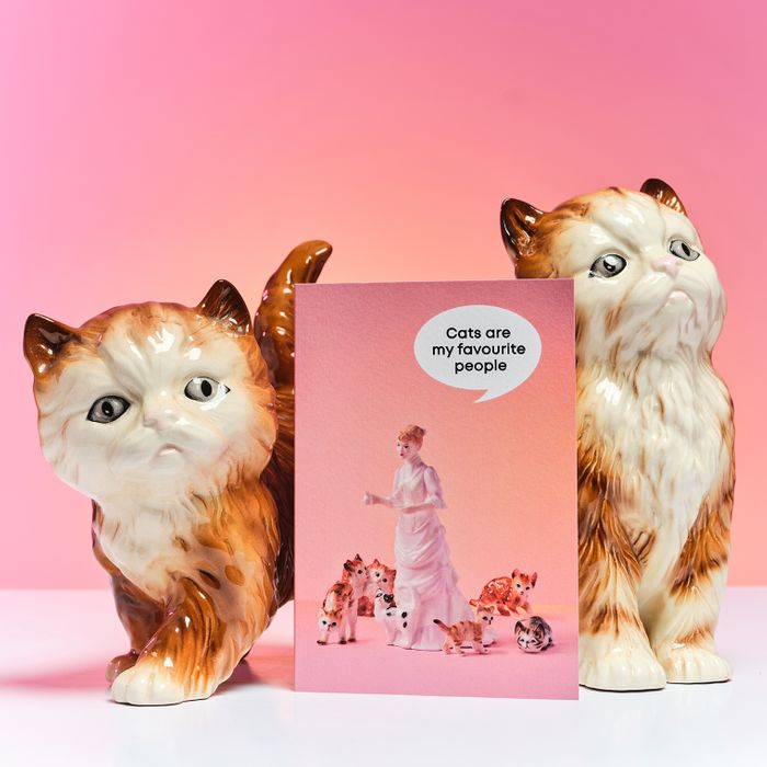 Shelf Talk by Ornament Art