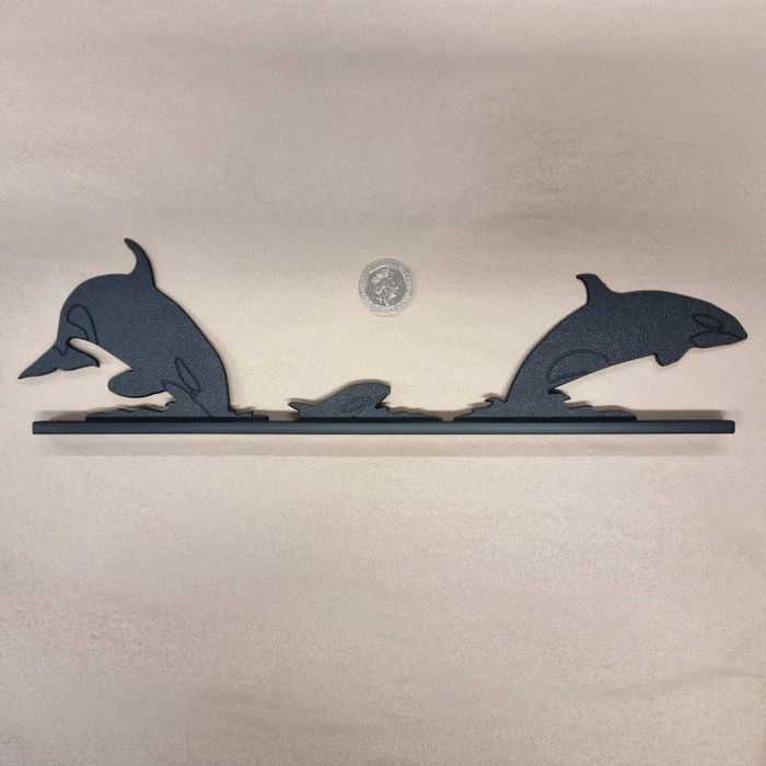 Orca Family