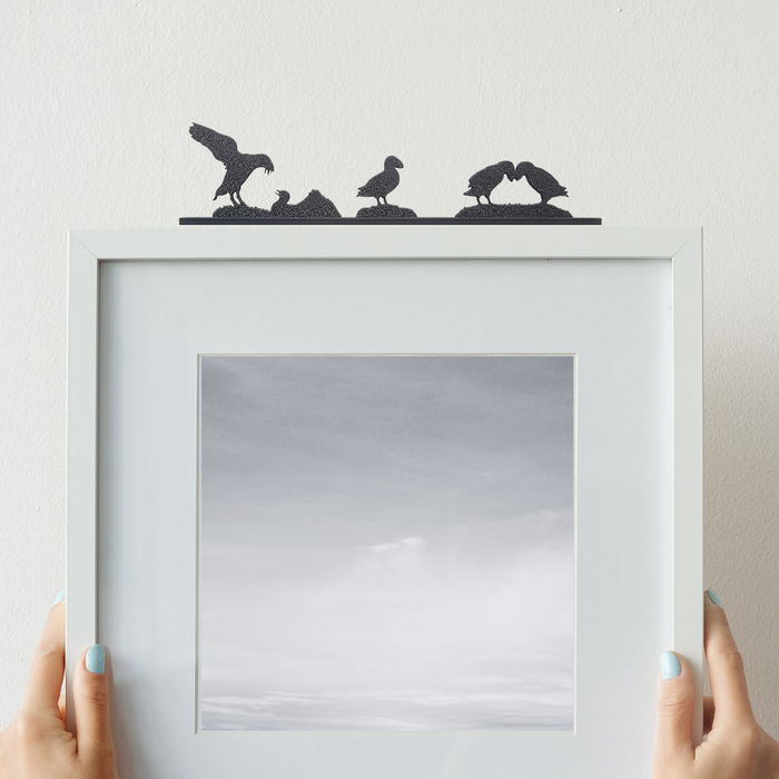 Puffin Family