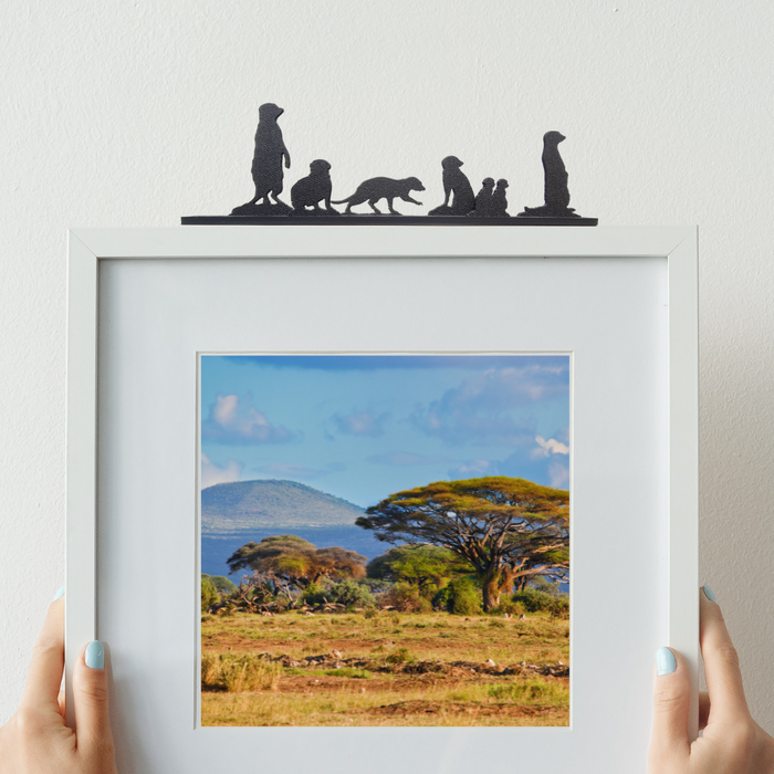 Meerkat Family