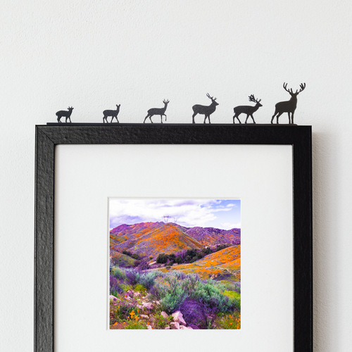 British Deer Group