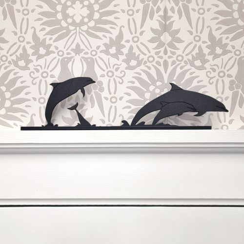 Dolphin Family