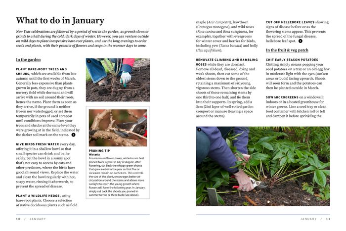RHS The Garden Almanac 2026
