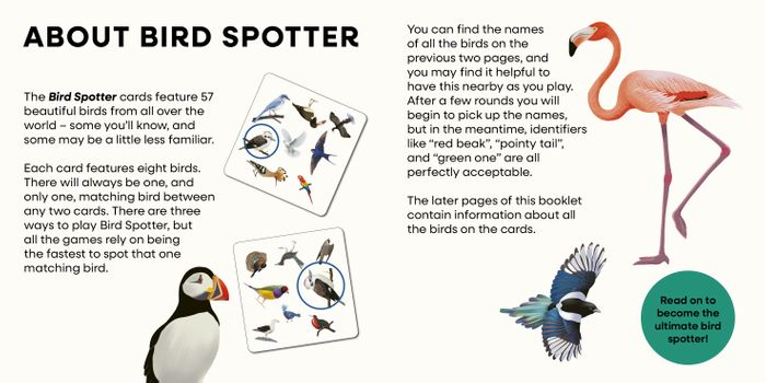 Bird Spotter