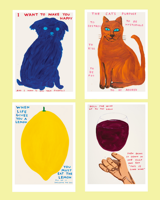 David Shrigley Large Format Postcards