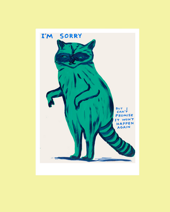 David Shrigley Large Format Postcards